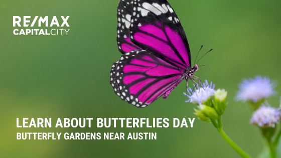 Austin Butterfly Gardens