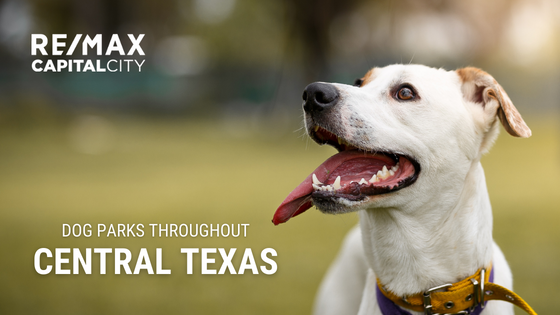 Central Texas Dogs